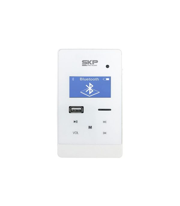 AMPLIFICADOR DE LINEA PW-50BT SKP - Imagen 3