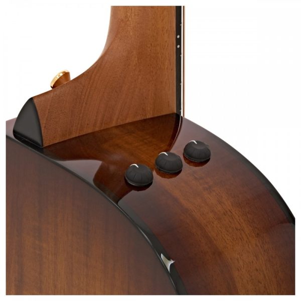 GUITARRA E/A 224CE-K-DLX TAYLOR - Imagen 4