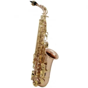 SAXOFON ALTO AS-202G-CU ROY BENSON