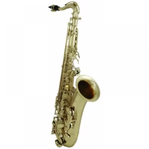 SAXOFON ALTO AS-202G ROY BENSON