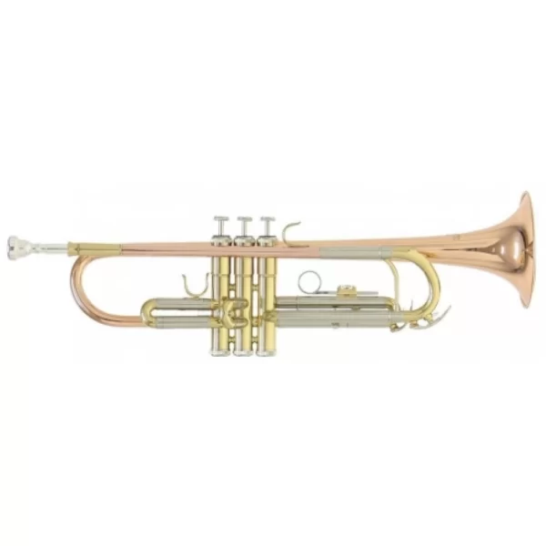TROMPETA Bb TR-202G ROY BENSON