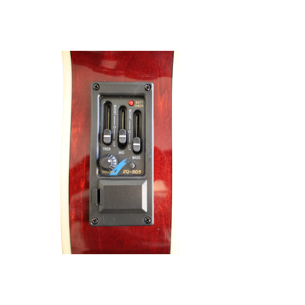 GUITARRA E/A THIN BIL-403-EQ FLM BILBAO