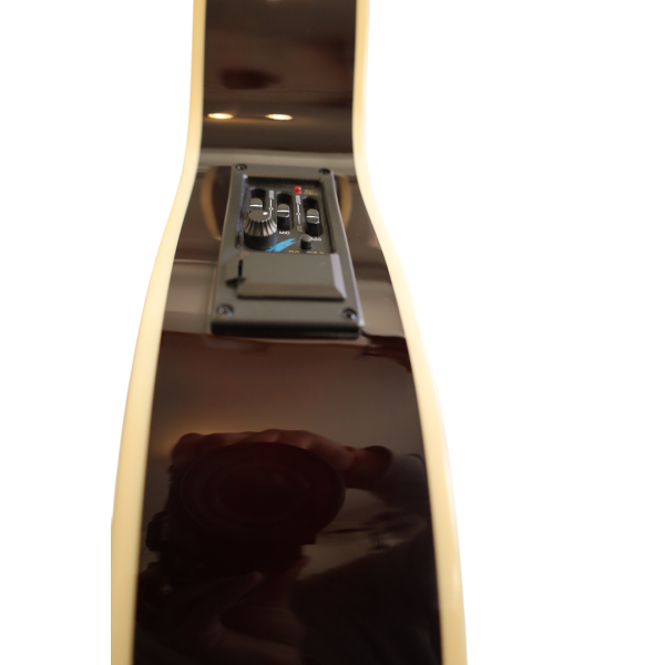 GUITARRA E/A THIN BIL-403-EQ SB BILBAO