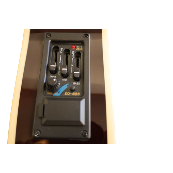 GUITARRA E/A THIN BIL-403-EQ SB BILBAO