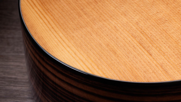GUITARRA E/A 214CE-PLUS TAYLOR