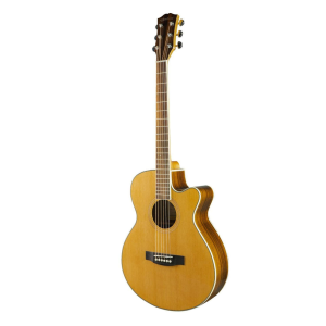 GUITARRA ACUSTICA METAL APOLLO 40 WOODSOUL