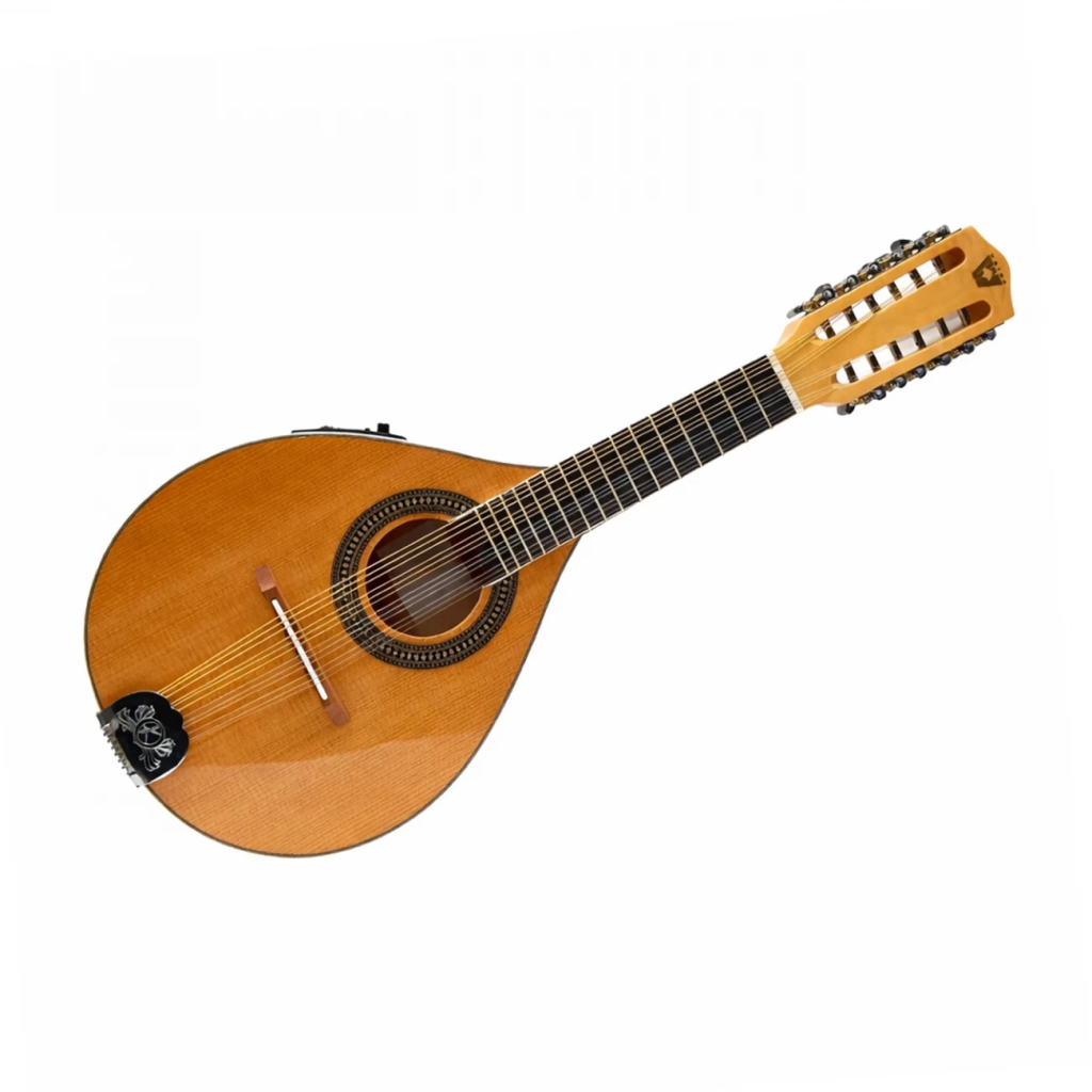 MANDOLINA ELECTROACUSTICA 12 CUERDAS HELA-12 WOTAN