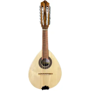 Classical lute with a pear-shaped body, decorative soundhole rosette, and multi-peg headstock on a white background.